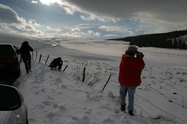 Auvergne08PP_172.jpg